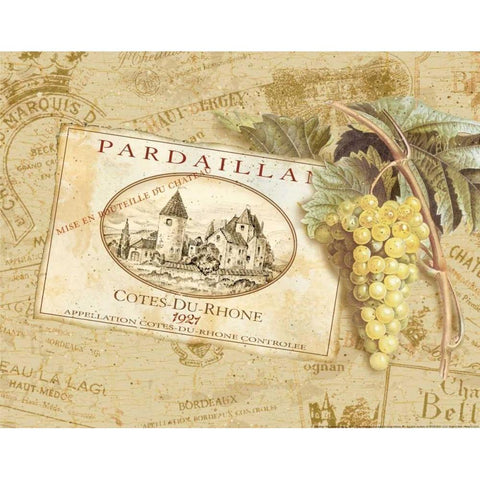 Pardaillan White Modern Wood Framed Art Print by Gladding, Pamela