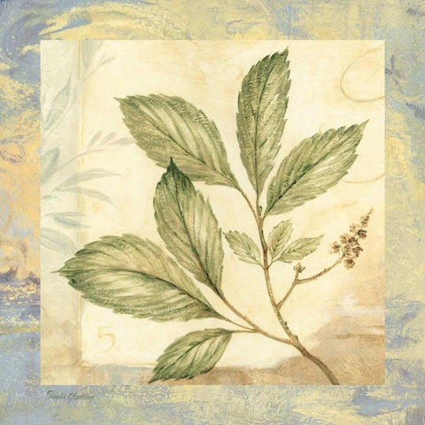 Leaf Botanicals II White Modern Wood Framed Art Print with Double Matting by Gladding, Pamela