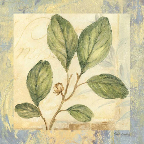 Leaf Botanicals IV White Modern Wood Framed Art Print with Double Matting by Gladding, Pamela