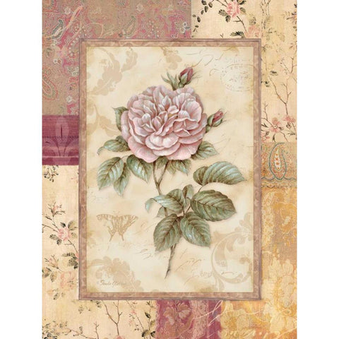 Provence Rose II White Modern Wood Framed Art Print by Gladding, Pamela