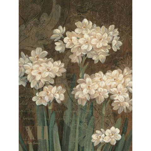 Petit Jardin Narcissus Black Modern Wood Framed Art Print with Double Matting by Gladding, Pamela