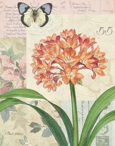 Clivia Floral Collage White Modern Wood Framed Art Print with Double Matting by Gladding, Pamela