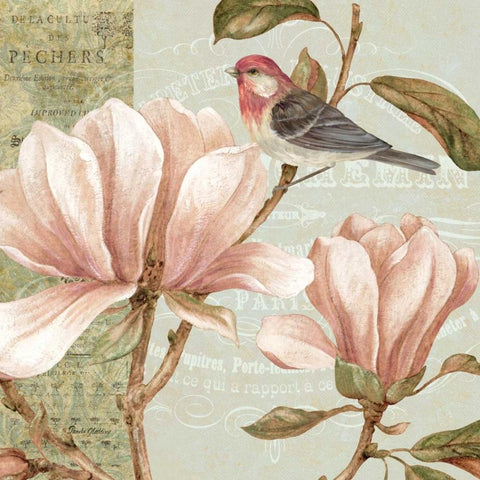 Magnolia Collage I White Modern Wood Framed Art Print by Gladding, Pamela