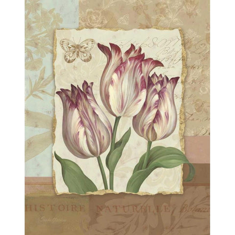 Flower Trio I White Modern Wood Framed Art Print by Gladding, Pamela