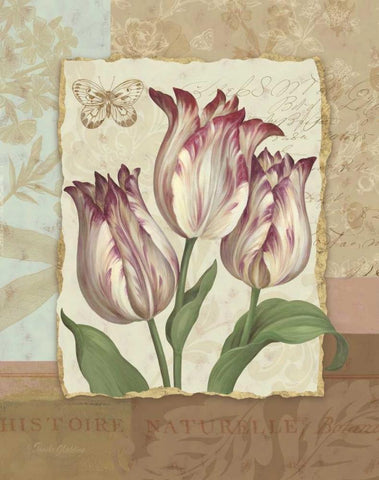 Flower Trio I White Modern Wood Framed Art Print with Double Matting by Gladding, Pamela