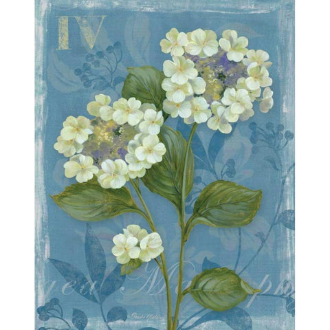 Lace Hydrangea White Modern Wood Framed Art Print by Gladding, Pamela