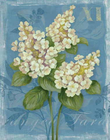 Tardiva Hydrangea Black Ornate Wood Framed Art Print with Double Matting by Gladding, Pamela