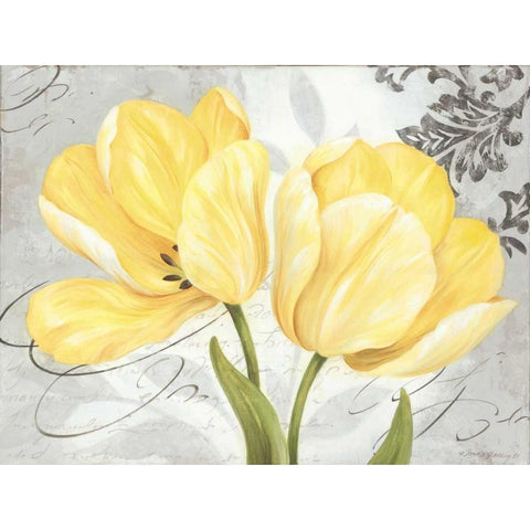 Colori Yellow II White Modern Wood Framed Art Print by Gladding, Pamela