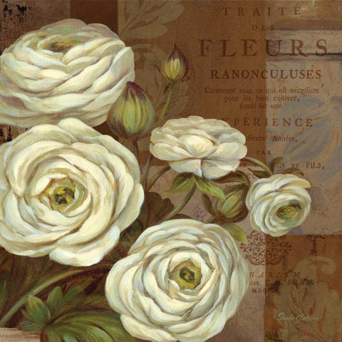 Patina Ranunculus White Modern Wood Framed Art Print by Gladding, Pamela