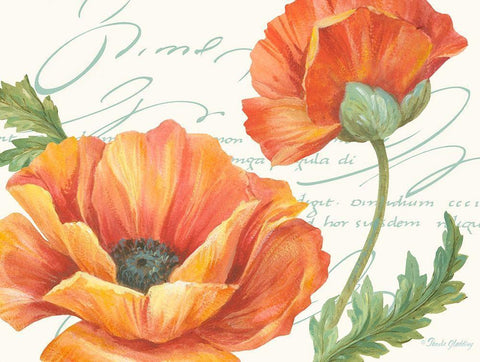 Orange Poppies II White Modern Wood Framed Art Print with Double Matting by Gladding, Pamela