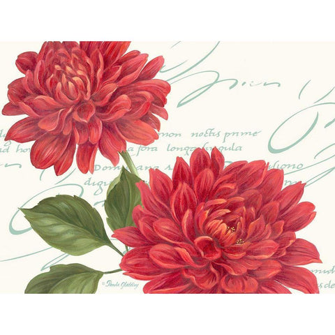 Red Dahlias Black Modern Wood Framed Art Print with Double Matting by Gladding, Pamela