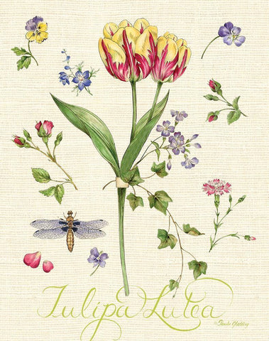 Lang of Flowers I White Modern Wood Framed Art Print with Double Matting by Gladding, Pamela