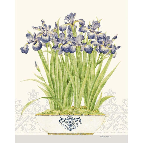 Imperial Irises Gold Ornate Wood Framed Art Print with Double Matting by Gladding, Pamela