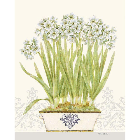 Imperial Narcissus White Modern Wood Framed Art Print by Gladding, Pamela