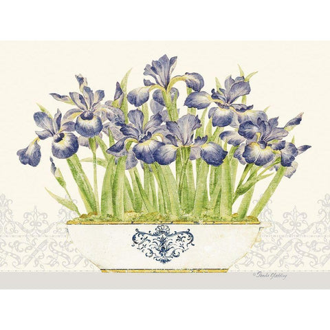 Imperial Irises Horizontal Black Modern Wood Framed Art Print by Gladding, Pamela
