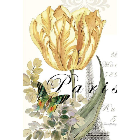 Paris Tulip White Modern Wood Framed Art Print by Gladding, Pamela