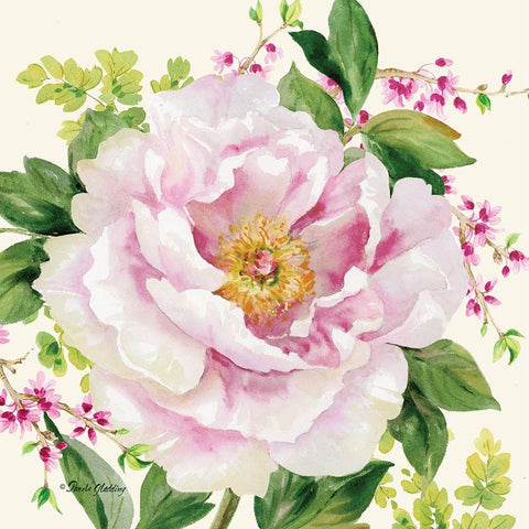 Hoh Peony I White Modern Wood Framed Art Print by Gladding, Pamela