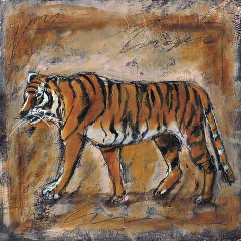 Safari Tiger White Modern Wood Framed Art Print with Double Matting by Gamel, Tara