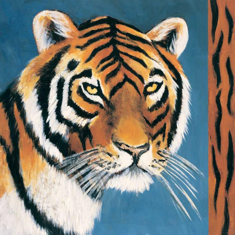 Exotic Tiger White Modern Wood Framed Art Print with Double Matting by Gamel, Tara