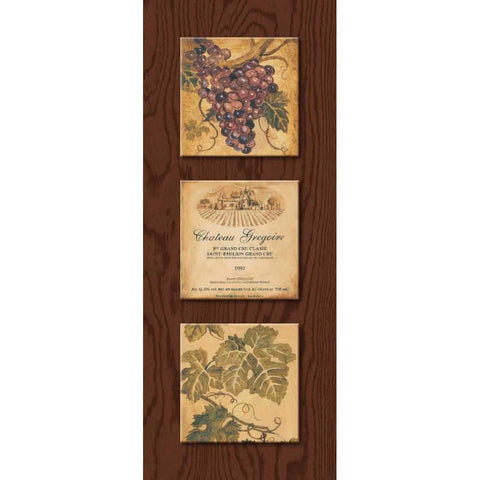 Wine Country Panel II Black Modern Wood Framed Art Print with Double Matting by Gorham, Gregory