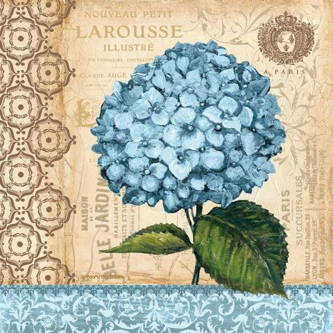 Hydrangea White Modern Wood Framed Art Print with Double Matting by Gorham, Gregory