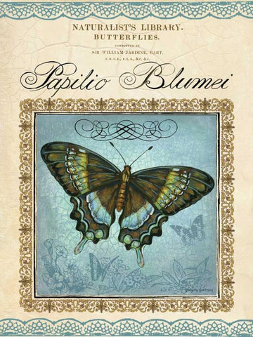 Papilio Blumei Black Ornate Wood Framed Art Print with Double Matting by Gorham, Gregory