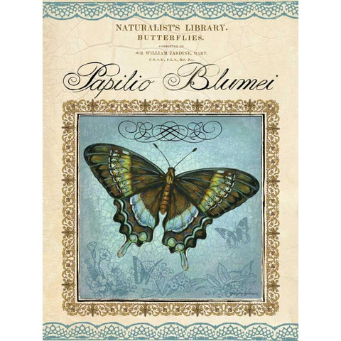 Papilio Blumei Gold Ornate Wood Framed Art Print with Double Matting by Gorham, Gregory