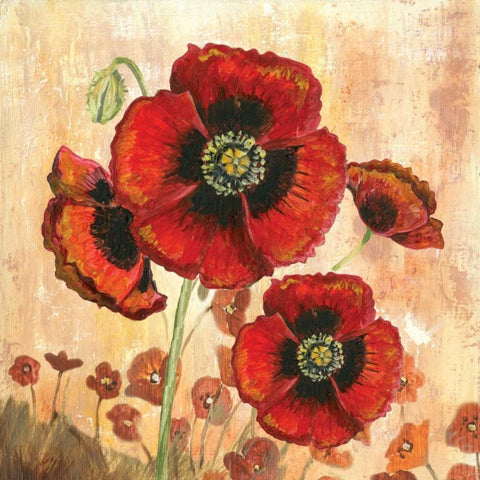 Big Red Poppies I White Modern Wood Framed Art Print with Double Matting by Gorham, Gregory