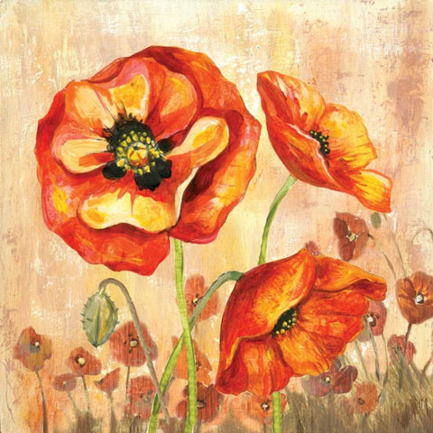 Big Red Poppies II White Modern Wood Framed Art Print with Double Matting by Gorham, Gregory