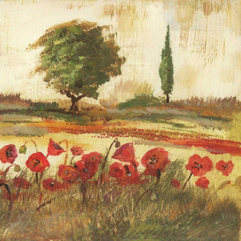 Poppy Field III White Modern Wood Framed Art Print with Double Matting by Gorham, Gregory