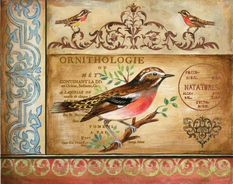 Ornithology Black Ornate Wood Framed Art Print with Double Matting by Gorham, Gregory