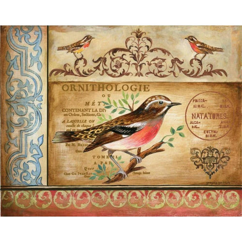 Ornithology Gold Ornate Wood Framed Art Print with Double Matting by Gorham, Gregory