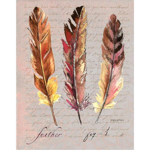 Feathers Fig 1 Gold Ornate Wood Framed Art Print with Double Matting by Gorham, Gregory