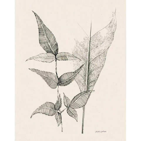 Plant Life I Black Modern Wood Framed Art Print with Double Matting by Gorham, Gregory