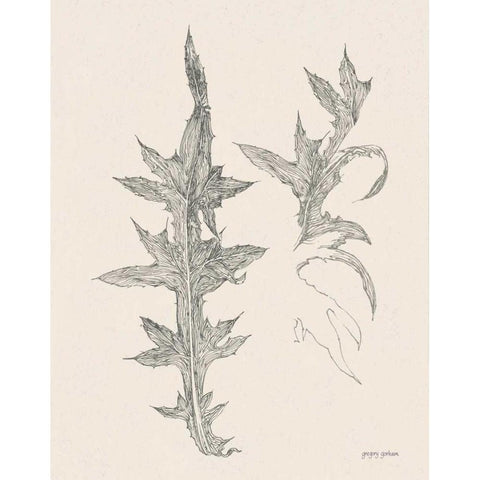 Plant Life II Black Modern Wood Framed Art Print by Gorham, Gregory