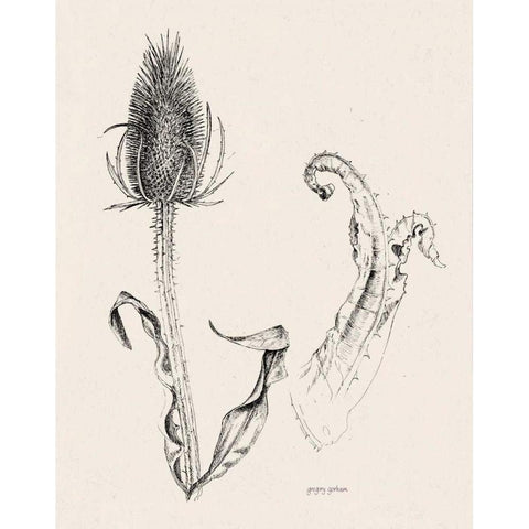 Plant Life IV Black Modern Wood Framed Art Print with Double Matting by Gorham, Gregory