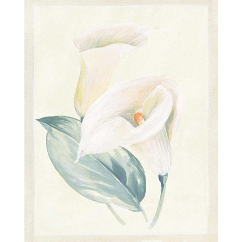 Calla Lily I White Modern Wood Framed Art Print by Hargittai, Paul