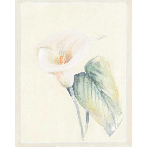 Calla Lily II Gold Ornate Wood Framed Art Print with Double Matting by Hargittai, Paul