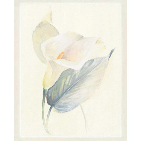 Calla Lily III Gold Ornate Wood Framed Art Print with Double Matting by Hargittai, Paul