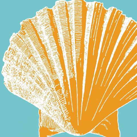 Graphic Shell IV Black Ornate Wood Framed Art Print with Double Matting by Harbick, N