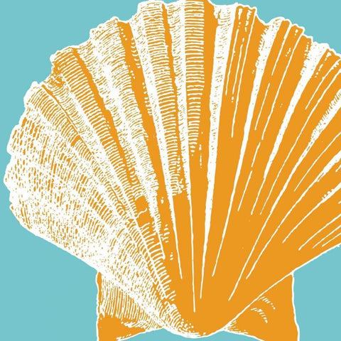 Graphic Shell IV Black Modern Wood Framed Art Print with Double Matting by Harbick, N