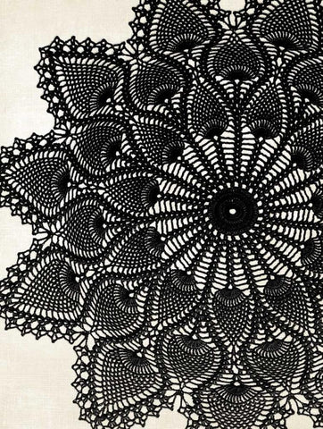 Doilies II Black Ornate Wood Framed Art Print with Double Matting by Harbick, N