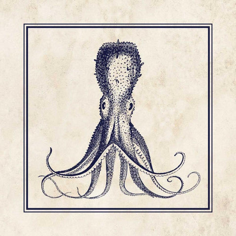 Octopus Sq White Modern Wood Framed Art Print by Harbick, N