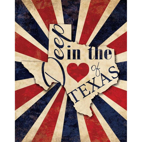 Heart of Texas Black Modern Wood Framed Art Print with Double Matting by Harbick, N