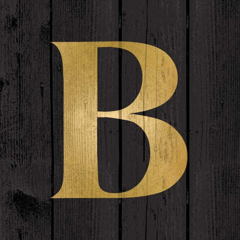 Gold Alphabet B Black Modern Wood Framed Art Print with Double Matting by Harbick, N.