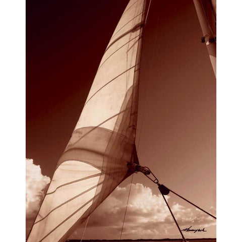 Windward Sail II White Modern Wood Framed Art Print by Hausenflock, Alan