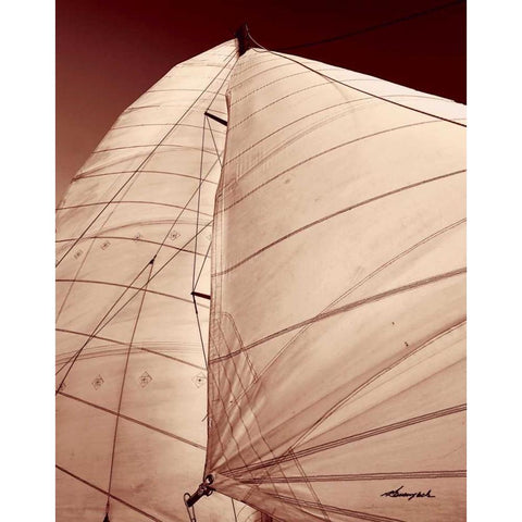 Windward Sail III White Modern Wood Framed Art Print by Hausenflock, Alan