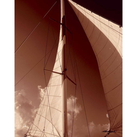 Windward Sail IV Black Modern Wood Framed Art Print with Double Matting by Hausenflock, Alan