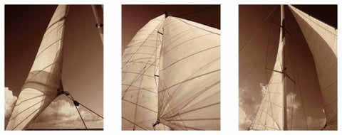 Windward Sails Triptych Black Ornate Wood Framed Art Print with Double Matting by Hausenflock, Alan