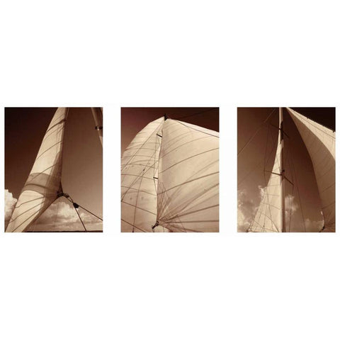 Windward Sails Triptych Gold Ornate Wood Framed Art Print with Double Matting by Hausenflock, Alan